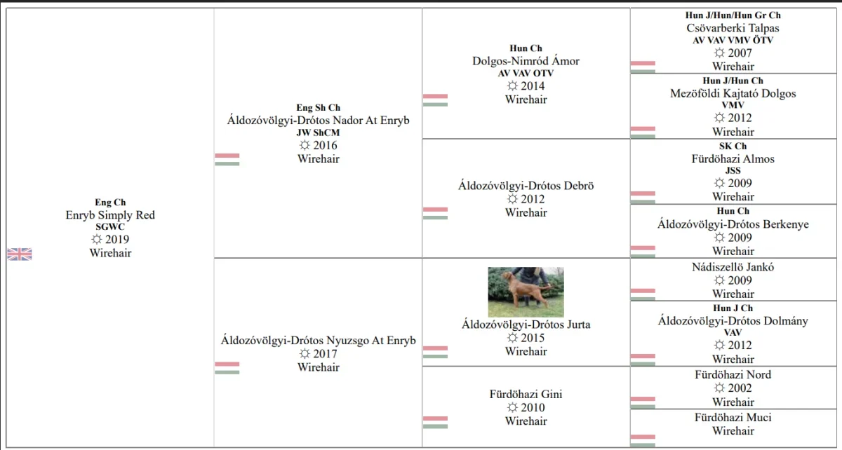 CHAMPION ENRYB SIMPLY RED