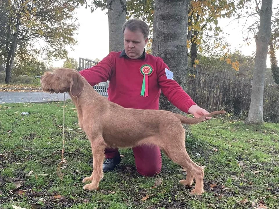 ENRYB SCARLETT O'HARA AT EWTOR "Robyn" Owner A Moss