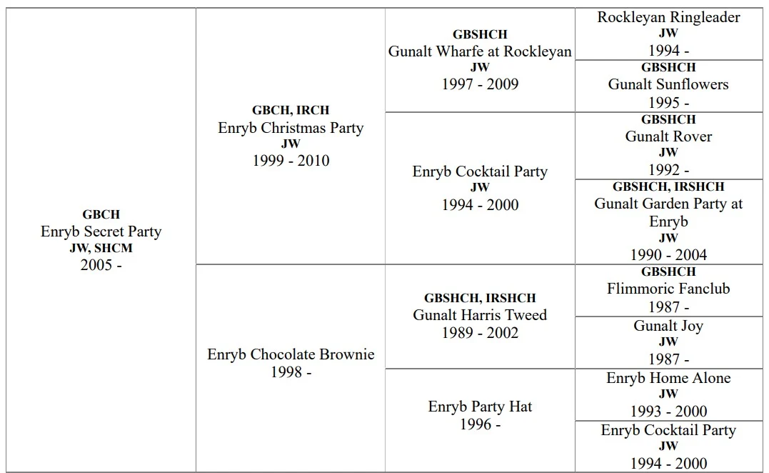 CHAMPION & IRISH SH CH ENRYB SECRET PARTY JW Sh CM