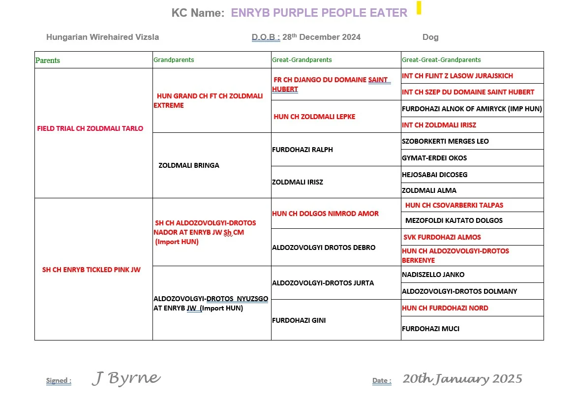 ENRYB PURPLE PEOPLE EATER