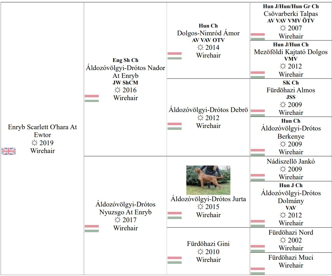 ENRYB SCARLETT O'HARA AT EWTOR