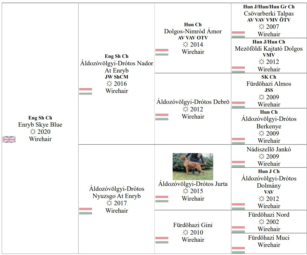 SH CH ENRYB SKYE BLUE